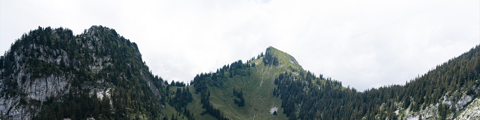 西藏悦游者旅行社有限公司驻马店营业网点